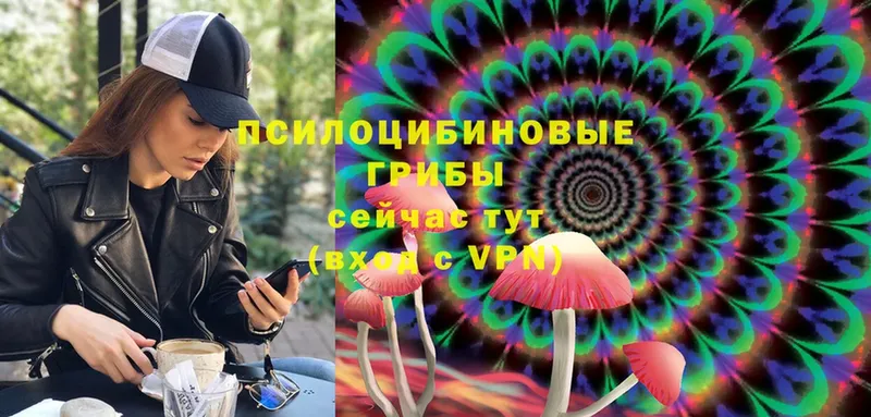 Псилоцибиновые грибы MAGIC MUSHROOMS  дарнет шоп  Бакал 